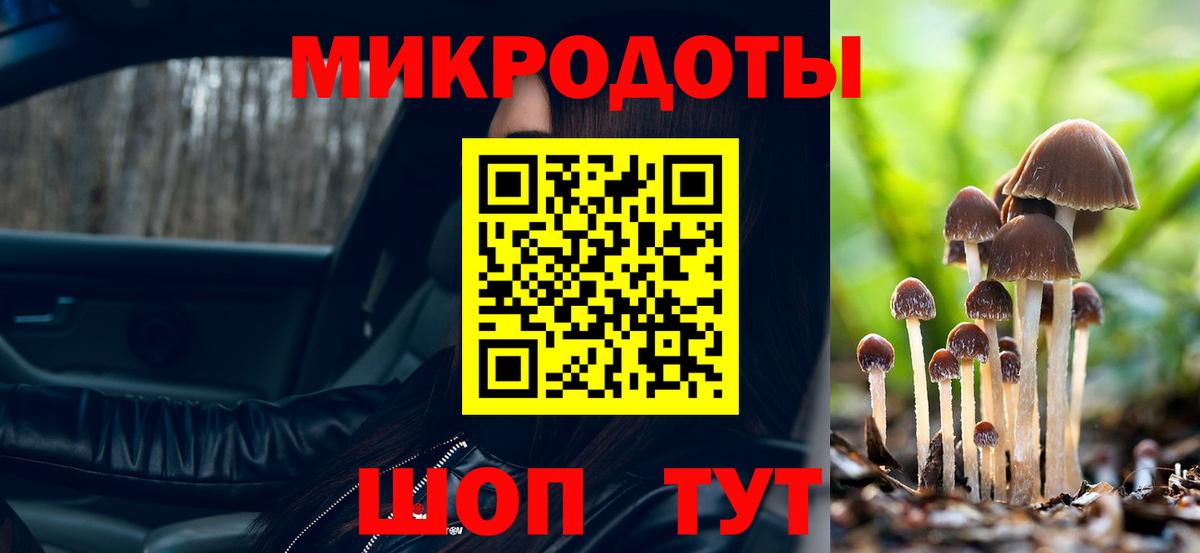 Петропавловск-Камчатский  Галлюциногенные грибы MAGIC MUSHROOMS  где продают   Вход с VPN  Псилоцибиновые грибы мицелий 